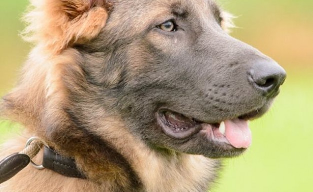 10245283_841267629233897_8386834594910793698_n