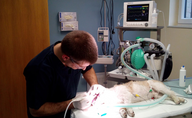 51495300_2309968159022669_6572347642842447872_o