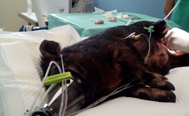 B85E1C43-E77C-4F50-ABBE-5068647D1BAD