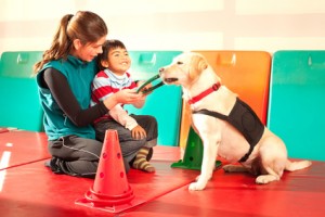 Patient being treated with the assistance of a trained dog